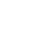 bear (1)