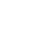 brain (1)